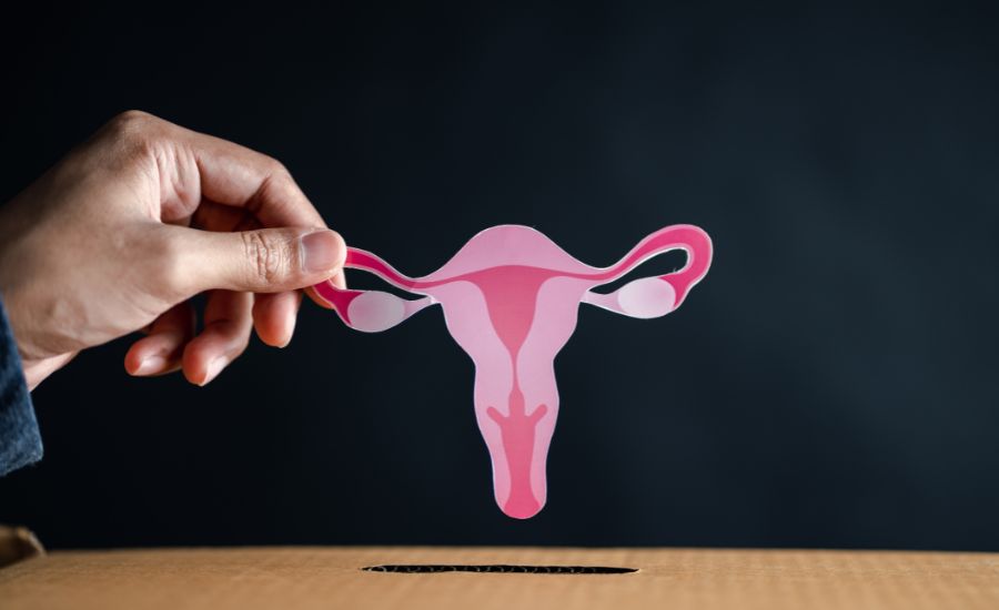 What Is Uterus Weight?