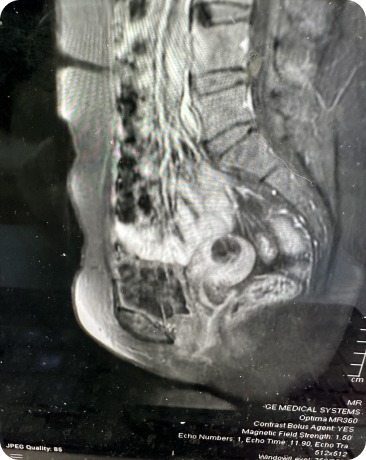 Case image 2